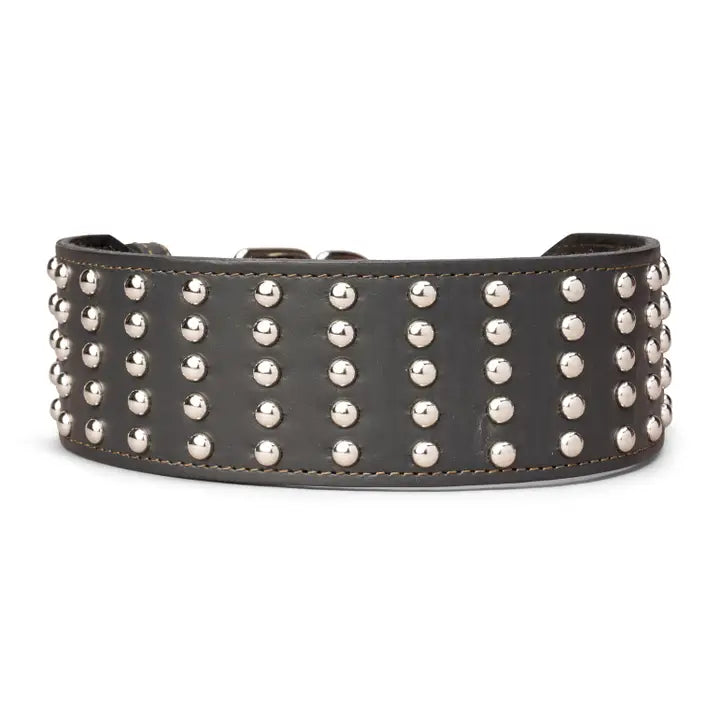 Studded Leather Collar 3" Inch Wide