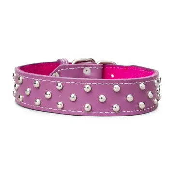 Studded Leather Collar 1 3/4" Wide