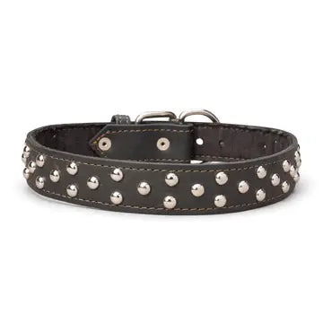 Studded Leather Collar 1 3/8" Inch Wide