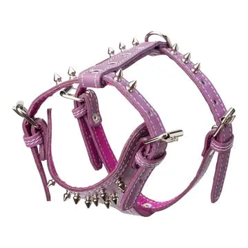 Spiked Leather Harness 3/4" - Small