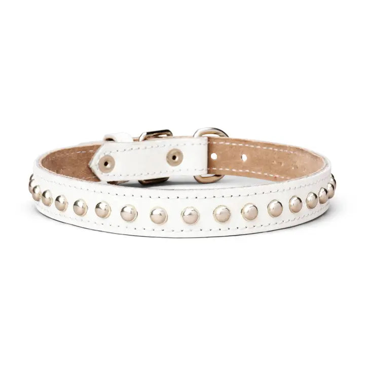 Studded Leather Collar 1" Inch Wide