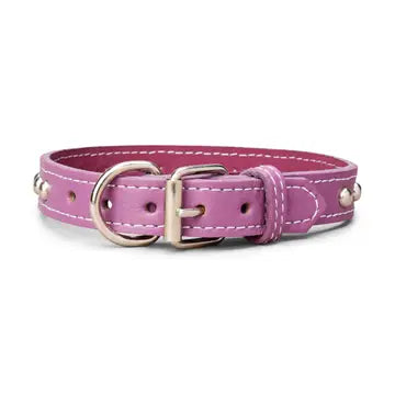 Studded Leather Collar 1" Inch Wide