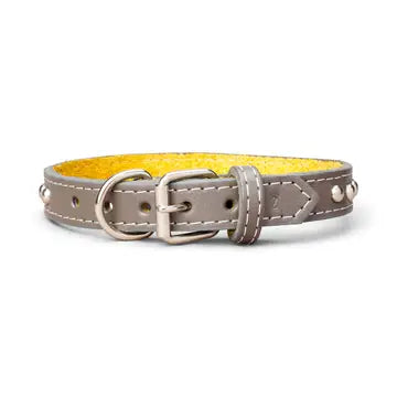 Studded Leather Collar 1" Inch Wide