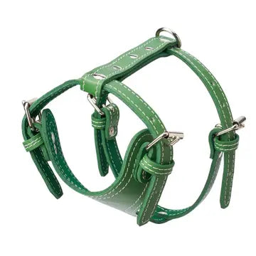 Plain Leather Harness 3/4" - Small