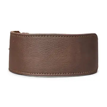Classic Plain Leather Collar 3" Inch Wide