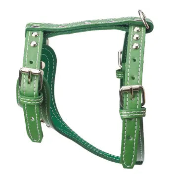 Studded Leather Harness 3/4" - Small