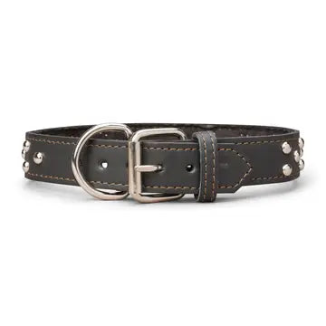 Studded Leather Collar 1 3/8" Inch Wide