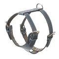 Plain Leather Harness 1 1/2" - Heavy Duty Large