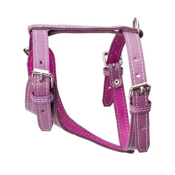 Plain Leather Harness 3/4" - Small