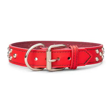 Studded Leather Collar 1 3/8" Inch Wide
