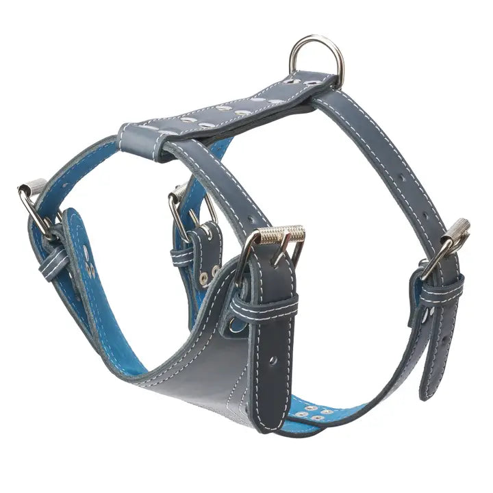 Plain Leather Harness 1 1/4" - Medium