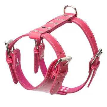 Plain Leather Harness 1 1/2" - Heavy Duty Large