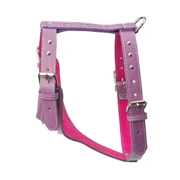 Studded Leather Harness 1 1/4" - Medium