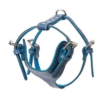 Plain Leather Harness 3/4" - Small