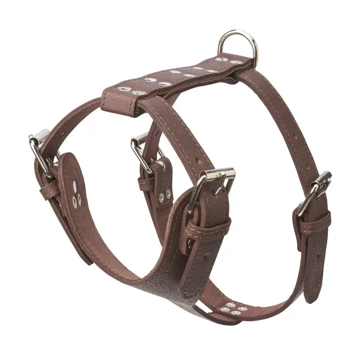 Plain Leather Harness 1 1/4" - Medium