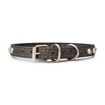 Studded Leather Collar 5/8" Wide