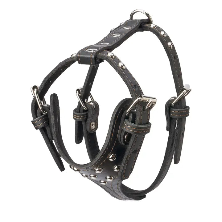Studded Leather Harness 3/4" - Small