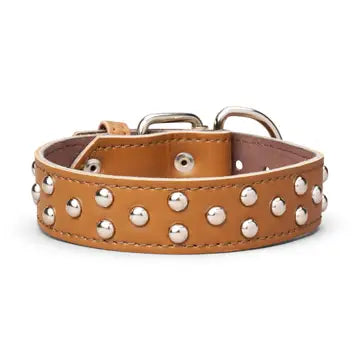 Studded Leather Collar 1 3/8" Inch Wide