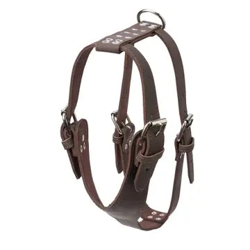 Plain Leather Harness 1 1/2" - Heavy Duty Medium
