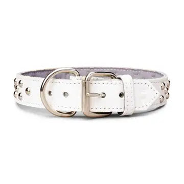 Studded Leather Collar 1 3/8" Inch Wide
