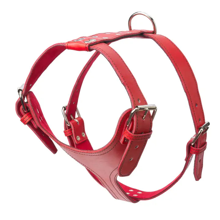 Plain Leather Harness 1 3/4" - X-Large