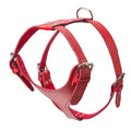 Plain Leather Harness 1 3/4" - X-Large