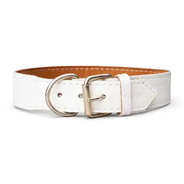 Plain Leather Collar 1 3/4" Wide