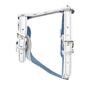 Plain Leather Harness 3/4" - Small