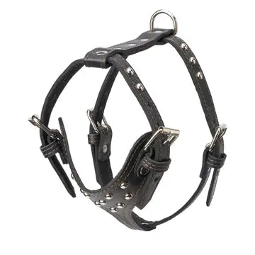 Studded Leather Harness 1 1/4" - Medium