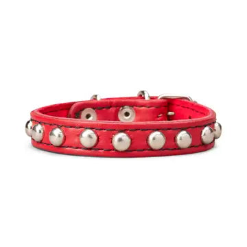 Studded Leather Collar 5/8" Wide