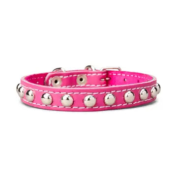 Studded Leather Collar 5/8" Wide