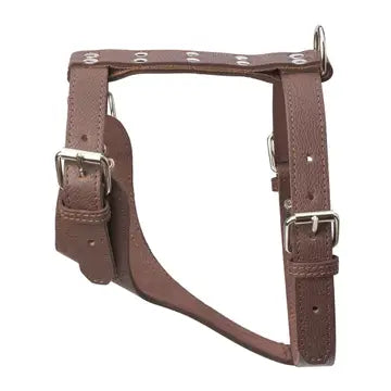 Plain Leather Harness 1 1/4" - Large