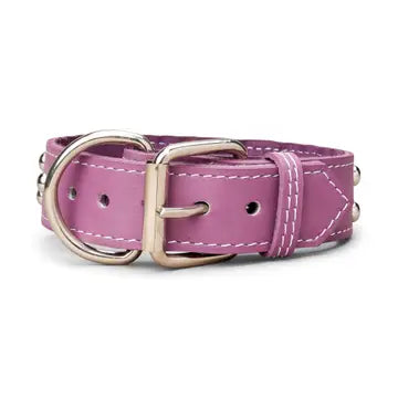 Studded Leather Collar 1 3/8" Inch Wide