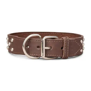 Studded Leather Collar 1 3/4" Wide