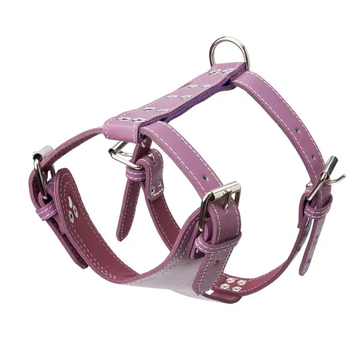 Plain Leather Harness 1 1/4" - Medium
