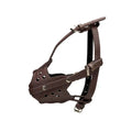 4-Way Adjustable Leather Muzzle - Large