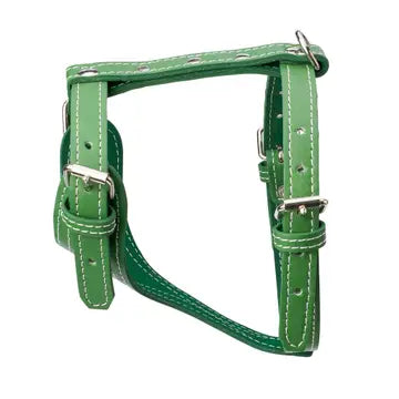 Plain Leather Harness 3/4" - Small