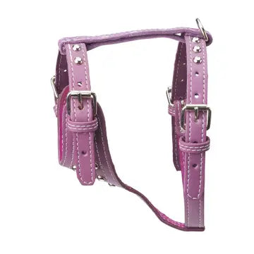 Studded Leather Harness 3/4" - Small