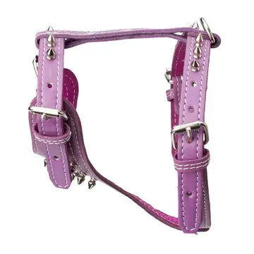 Spiked Leather Harness 3/4" - Small