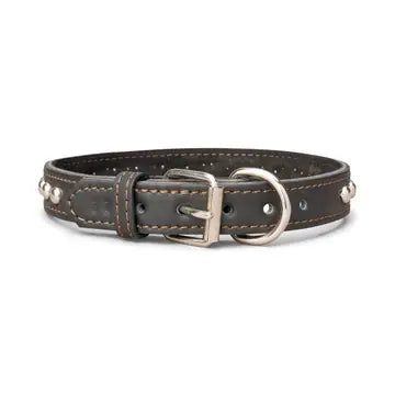 Studded Leather Collar 1" Inch Wide