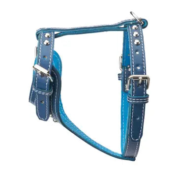 Studded Leather Harness 3/4" - Small