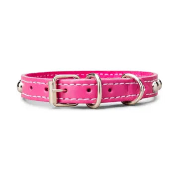 Studded Leather Collar 5/8" Wide