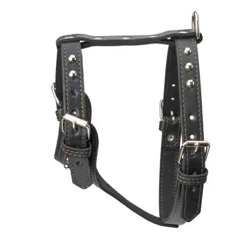 Studded Leather Harness 1 1/4" - Medium