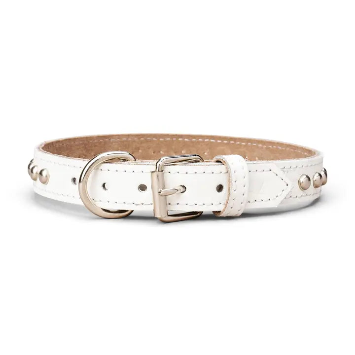 Studded Leather Collar 1" Inch Wide