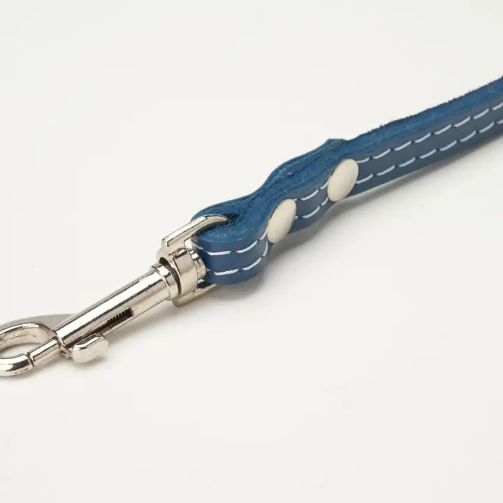 Leather Leash 1" x 72"