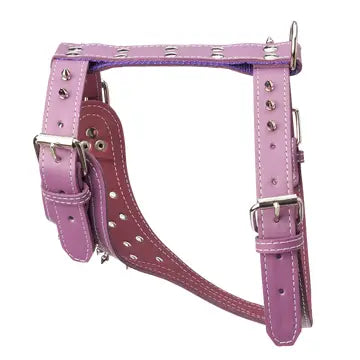 Spiked Leather Harness 1 1/4" - Large