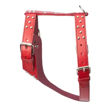 Studded Leather Harness 1 1/2" - Heavy Duty Medium